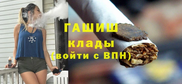 гидра Каменка