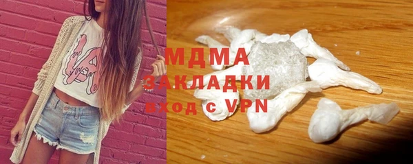 гидра Каменка