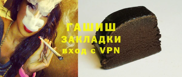 гидра Каменка